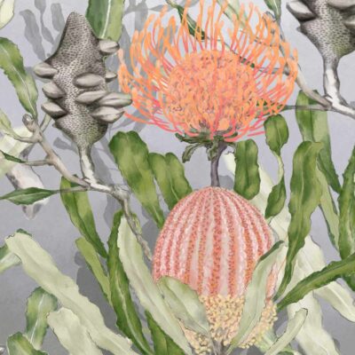Australian native flora painted artwork